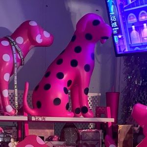 Victoria’s Secret PINK display